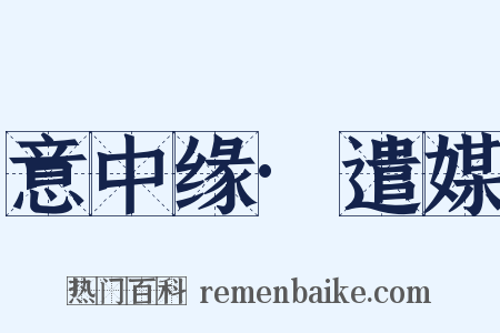 意中缘·遣媒是什么意思的图片